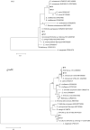 Fig 8