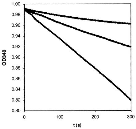 FIG. 8.