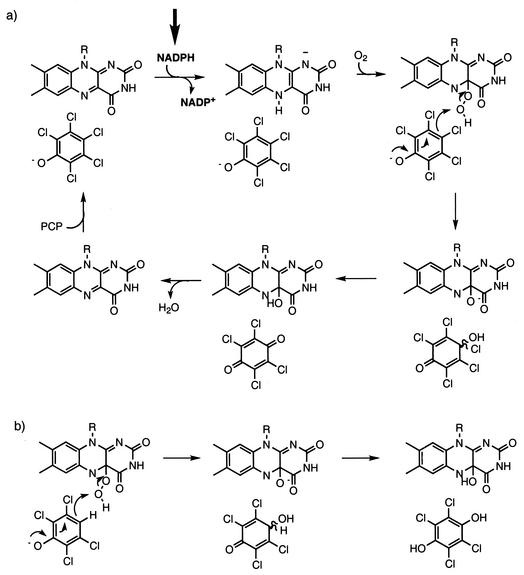 FIG. 7.