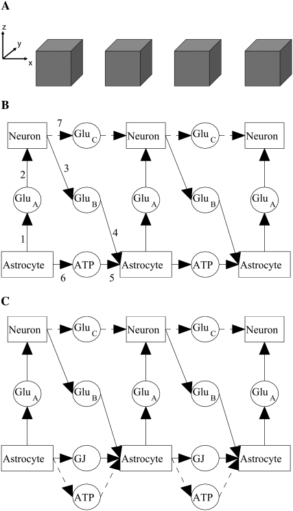 FIGURE 1