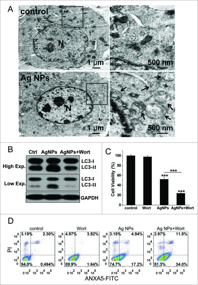 Figure 9.