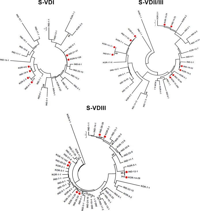 Fig 4