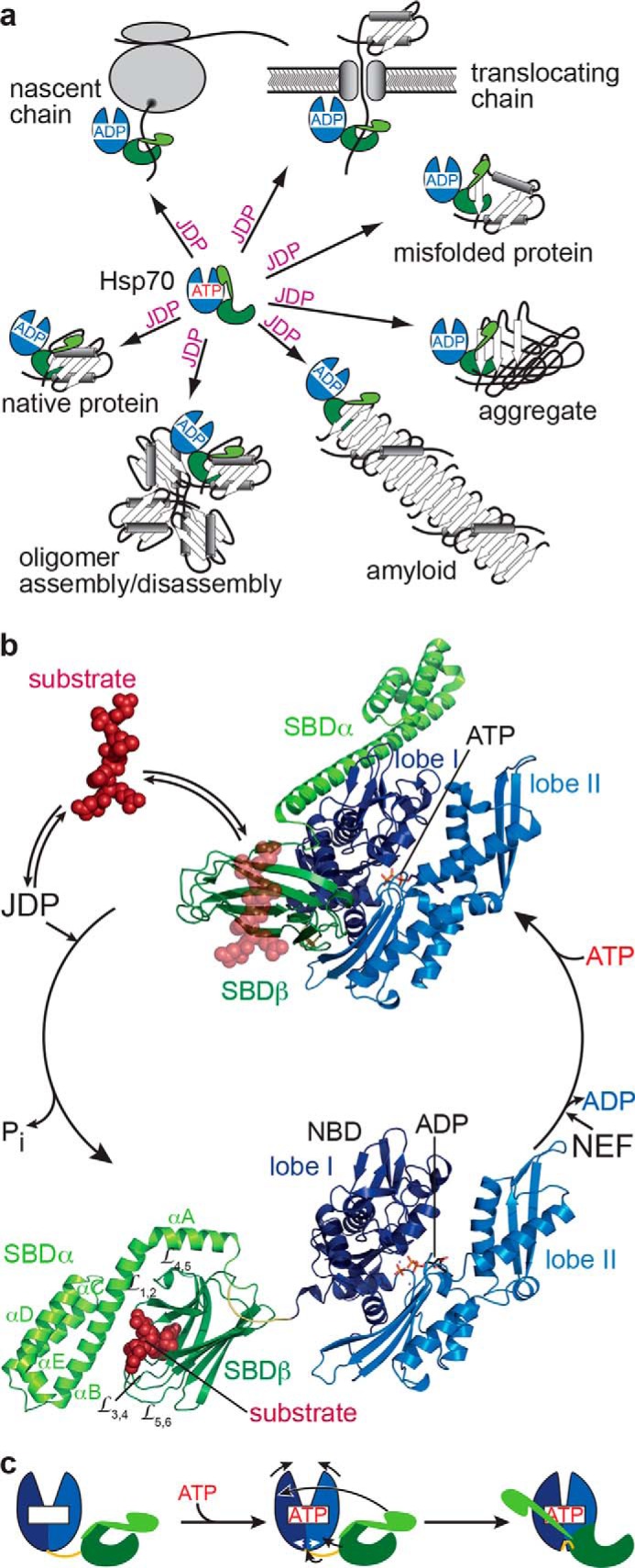 Figure 1.