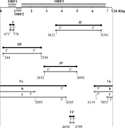 FIG. 4.