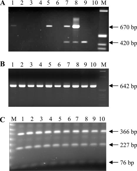 FIG. 8.