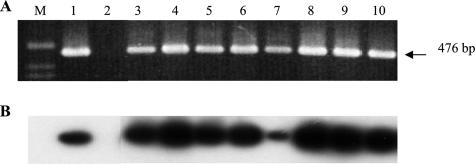 FIG. 6.