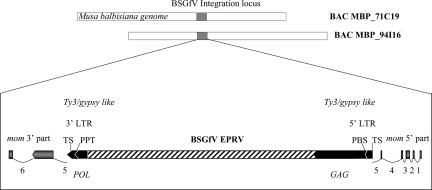 FIG. 5.