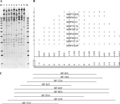 FIG. 2.