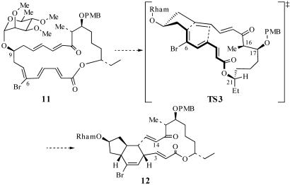 Scheme 4.