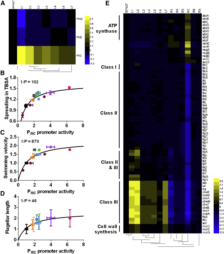 Figure 2