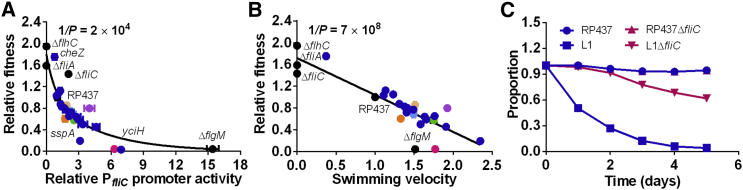 Figure 5