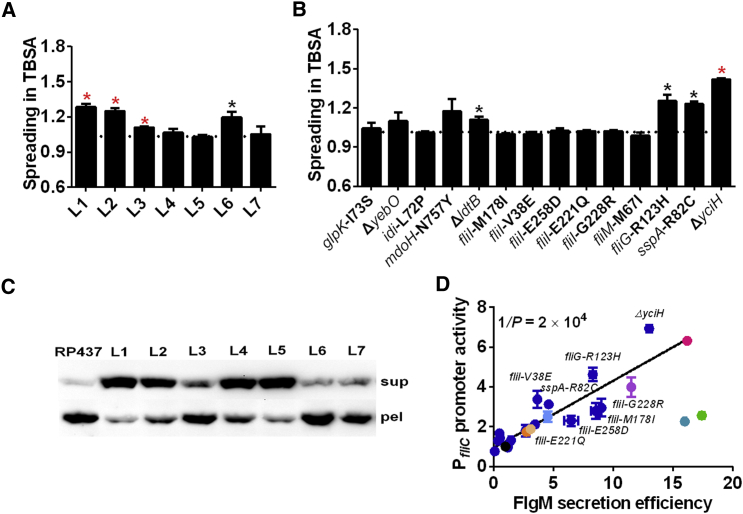 Figure 4