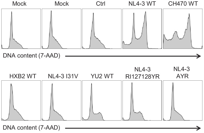 Figure 6—figure supplement 2.