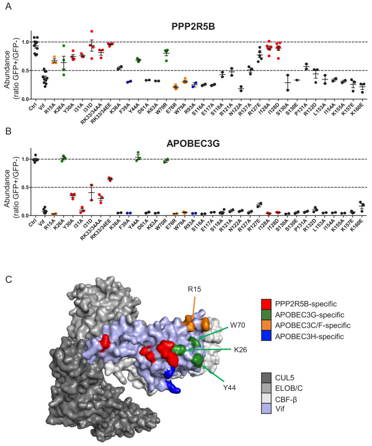 Figure 1—figure supplement 2.