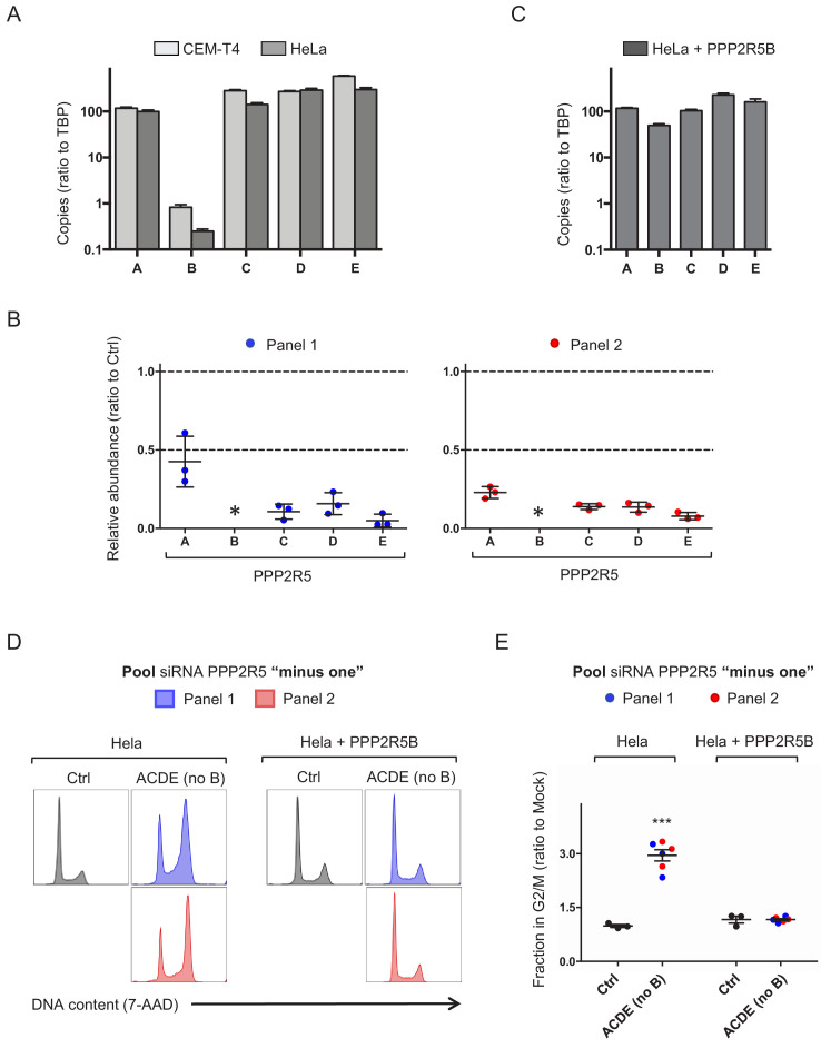 Figure 4—figure supplement 2.