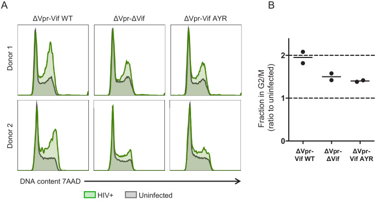 Figure 7—figure supplement 2.