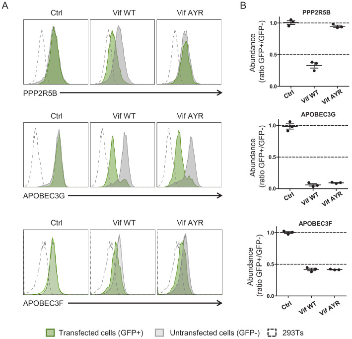 Figure 6—figure supplement 3.