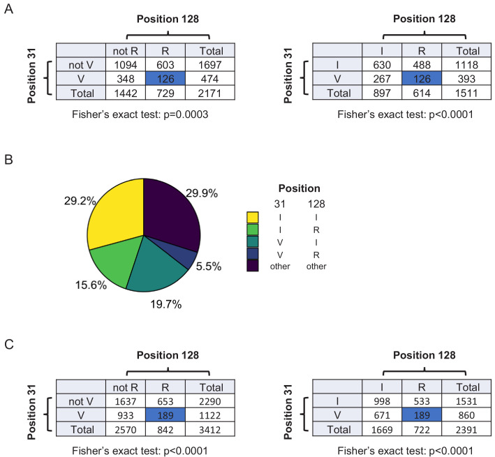 Figure 7—figure supplement 3.