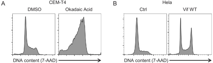 Figure 4—figure supplement 1.