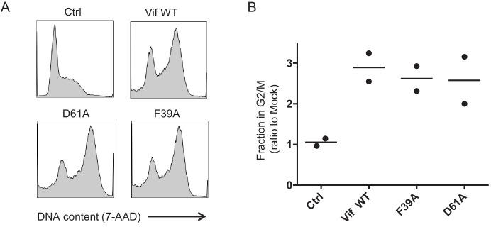 Figure 3—figure supplement 1.