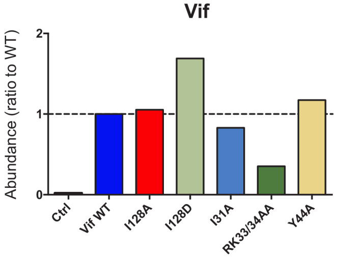 Figure 2—figure supplement 1.