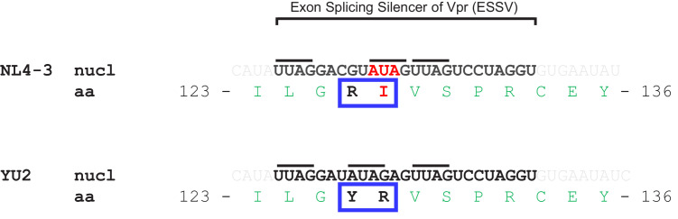 Figure 6—figure supplement 1.