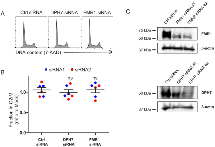 Figure 4—figure supplement 3.