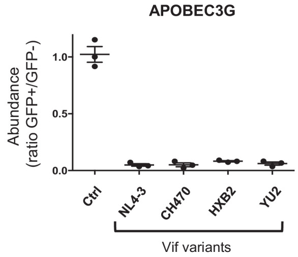 Figure 5—figure supplement 2.