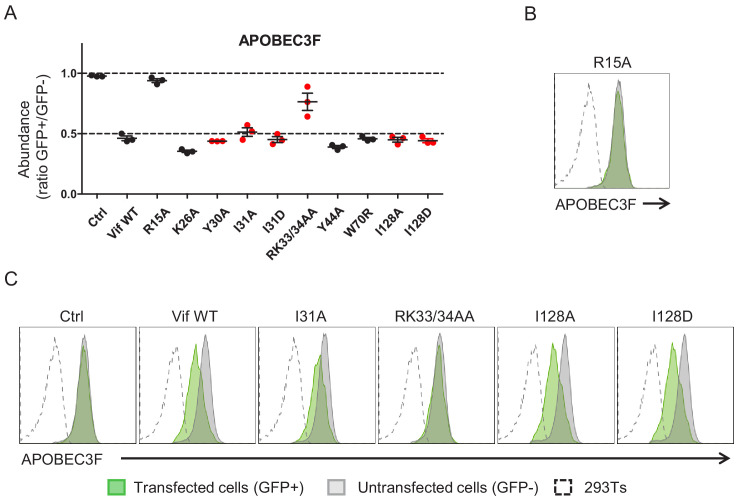 Figure 1—figure supplement 4.