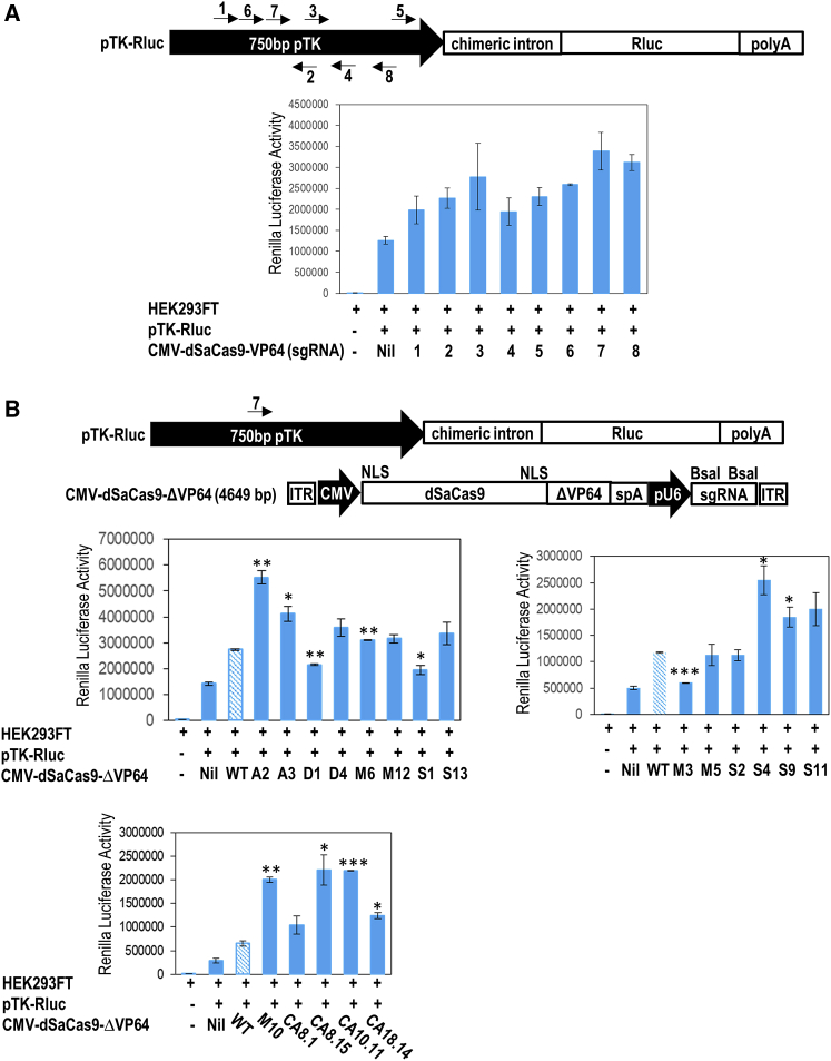 Figure 4