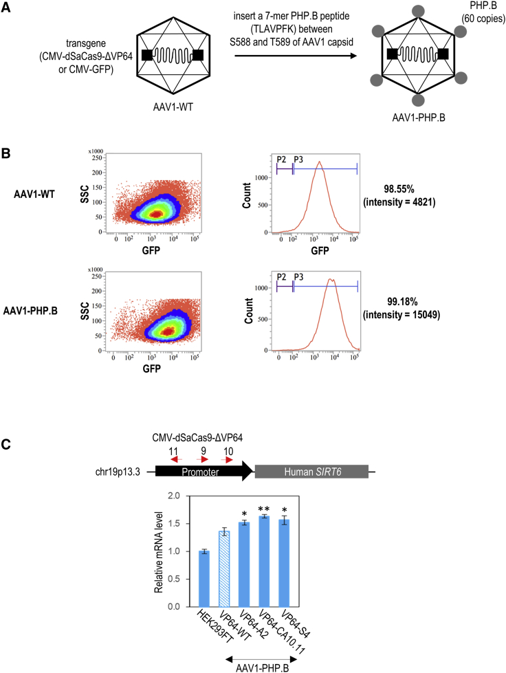 Figure 6