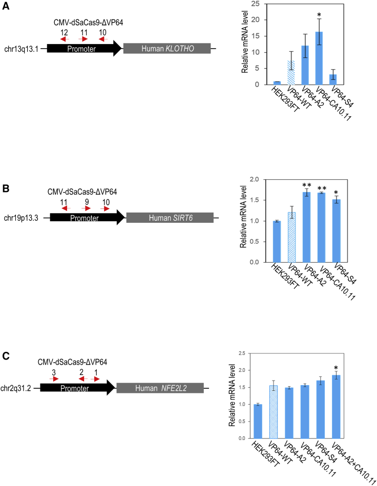 Figure 5