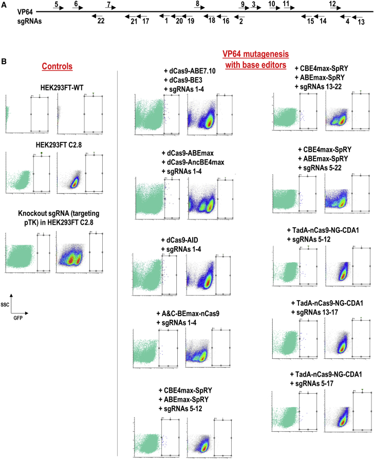 Figure 2