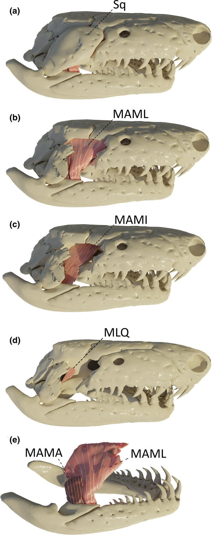 FIGURE 4