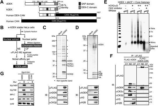 Figure 7.