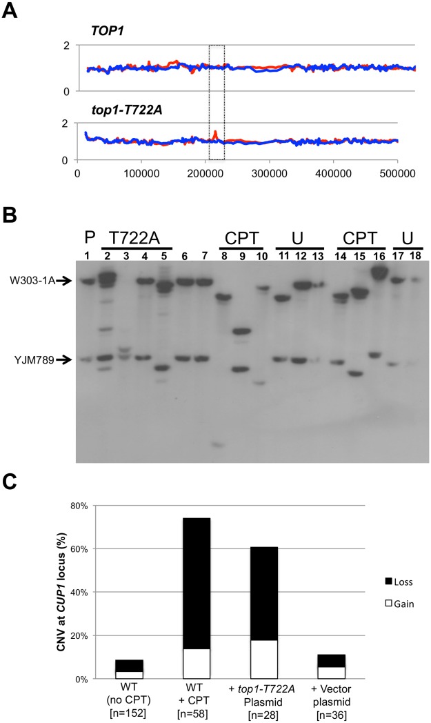 Fig 5