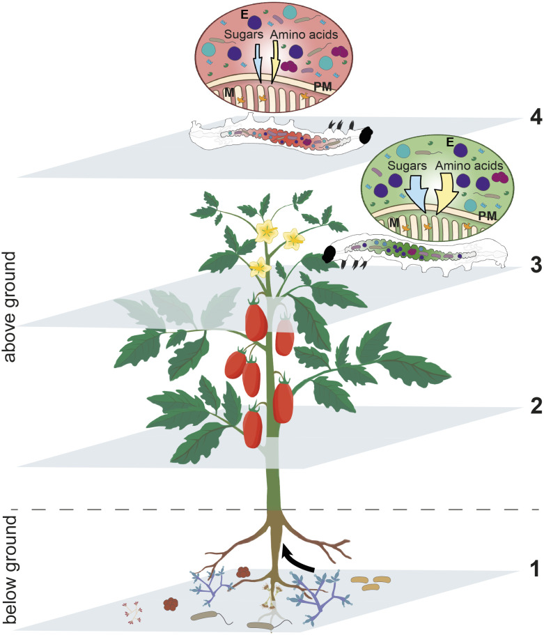 Fig. 6.