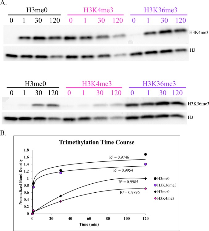 Fig 5