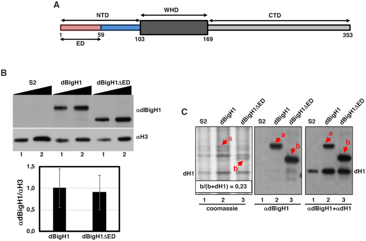 Figure 1.