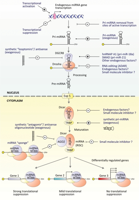 Figure 3.