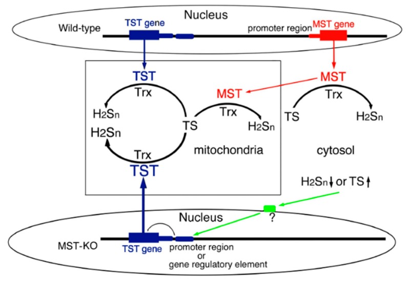 Figure 5