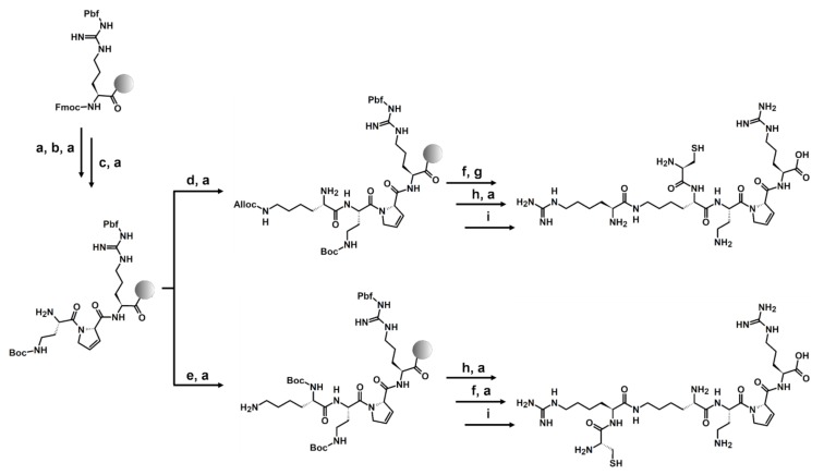 Scheme 1