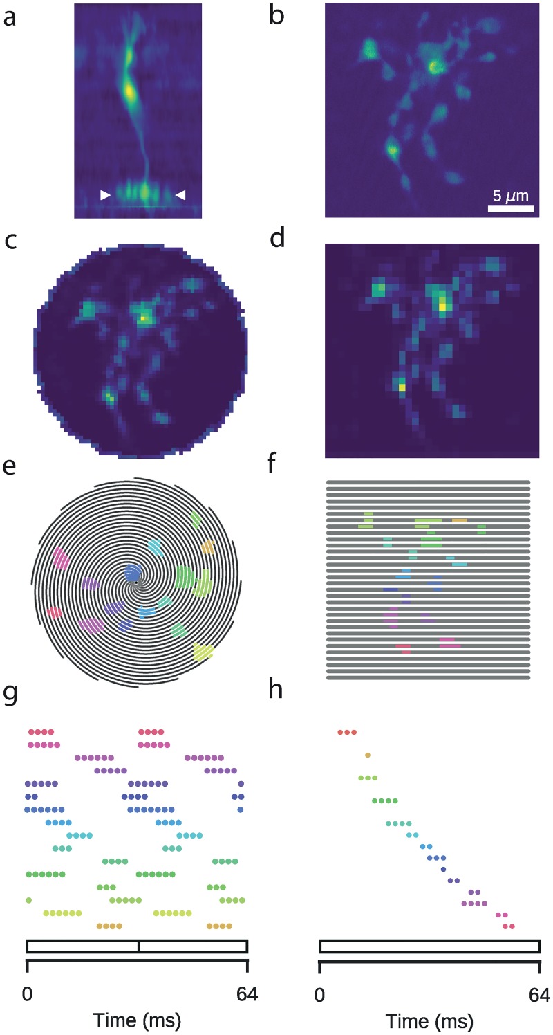 Fig 1