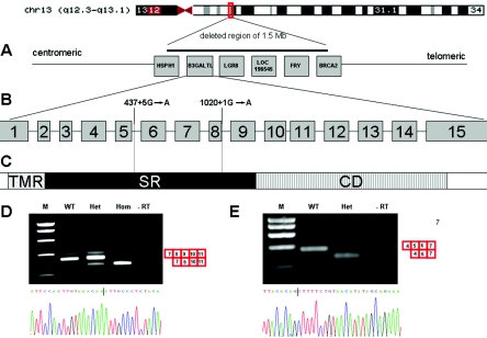 Figure  1. 