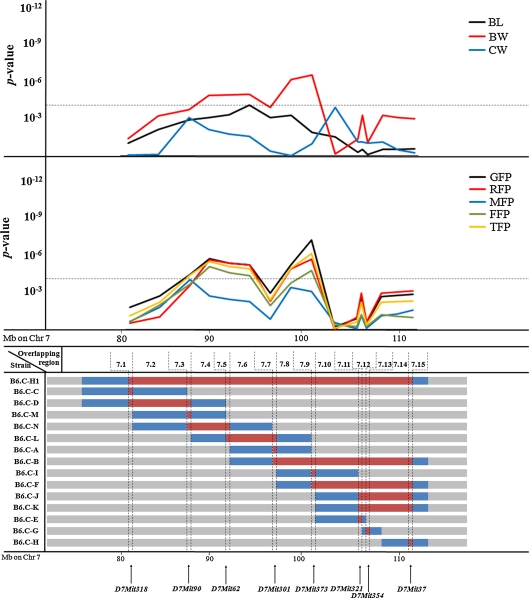 Fig. 2