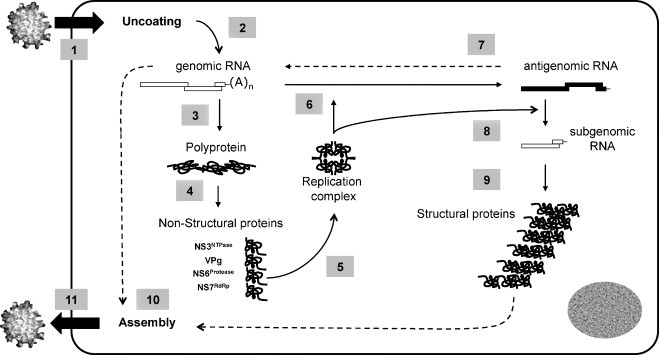 Fig. 4