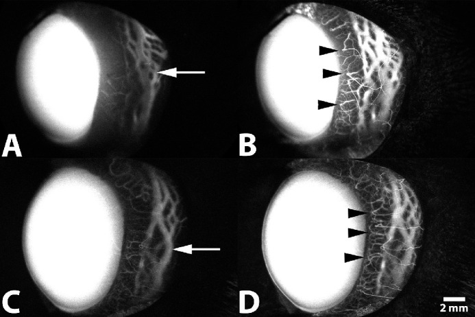 Figure 7.