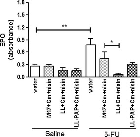 Fig. 8