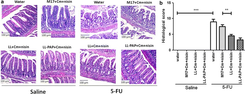 Fig. 4