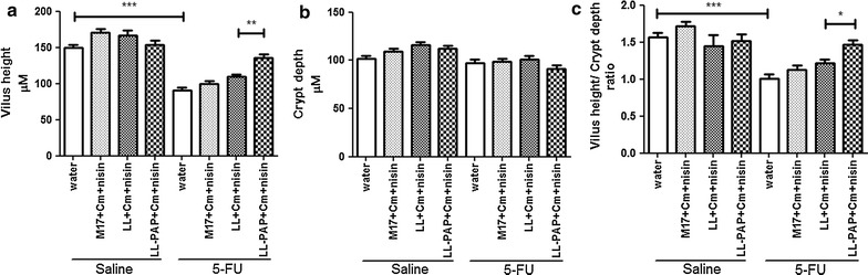 Fig. 5